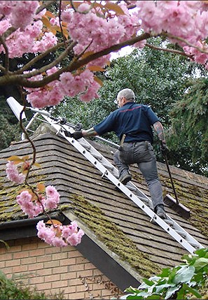 Roof in Chatham having jet wash cleaning